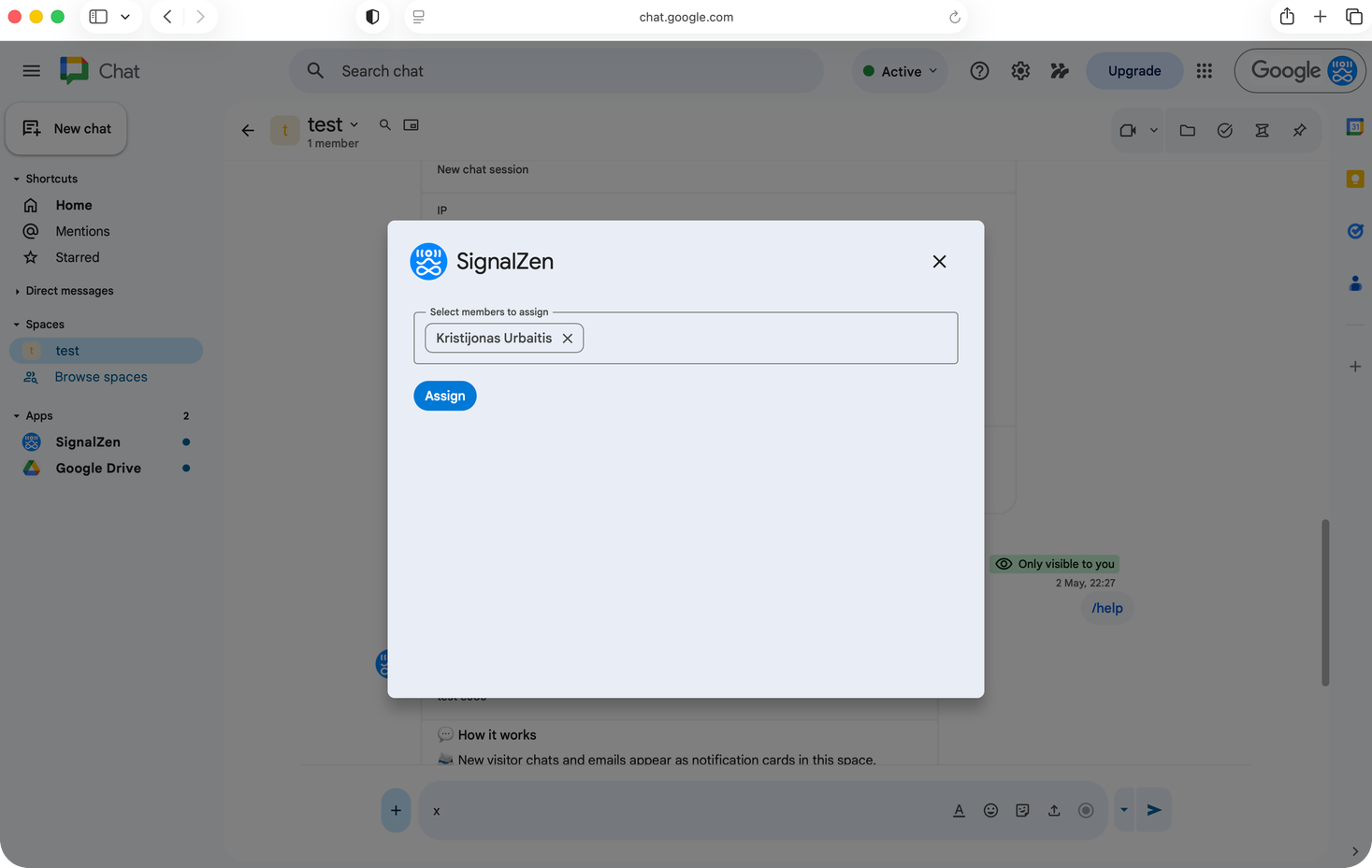 Full website visitor information in Google Chat