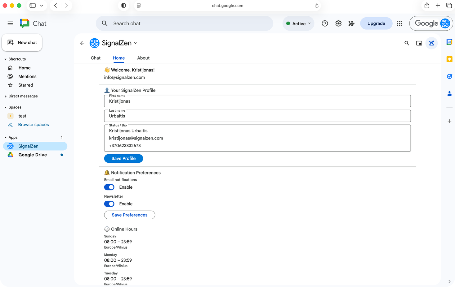 SignalZen bot commands available in Google Chat